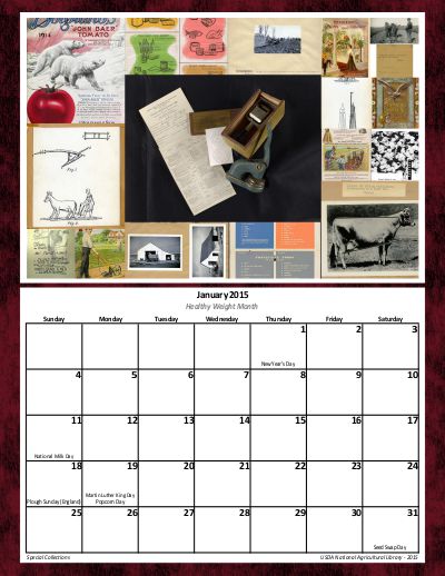 Collage of January's images with a calendar grid below.