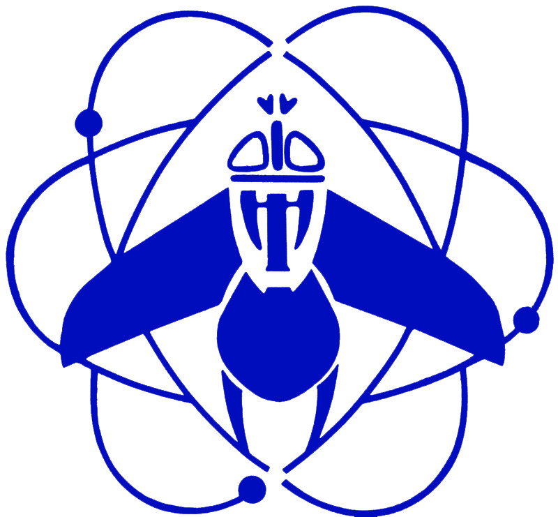 Atomic Fly Logo