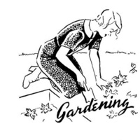 Women\'s Dresses and Slips In Use Gardening.jpg