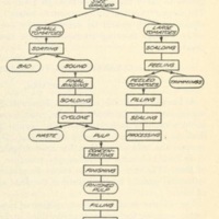 Sanitary Control of Tomato-Canning Factories Flowchart 2.jpg