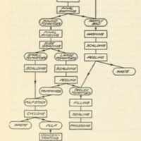 Sanitary Control of Tomato-Canning Factories Flowchart 1.jpg