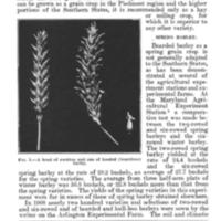 Barley Culture in the Southern States 2.jpg