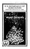 Peanut Growing Cover.jpg
