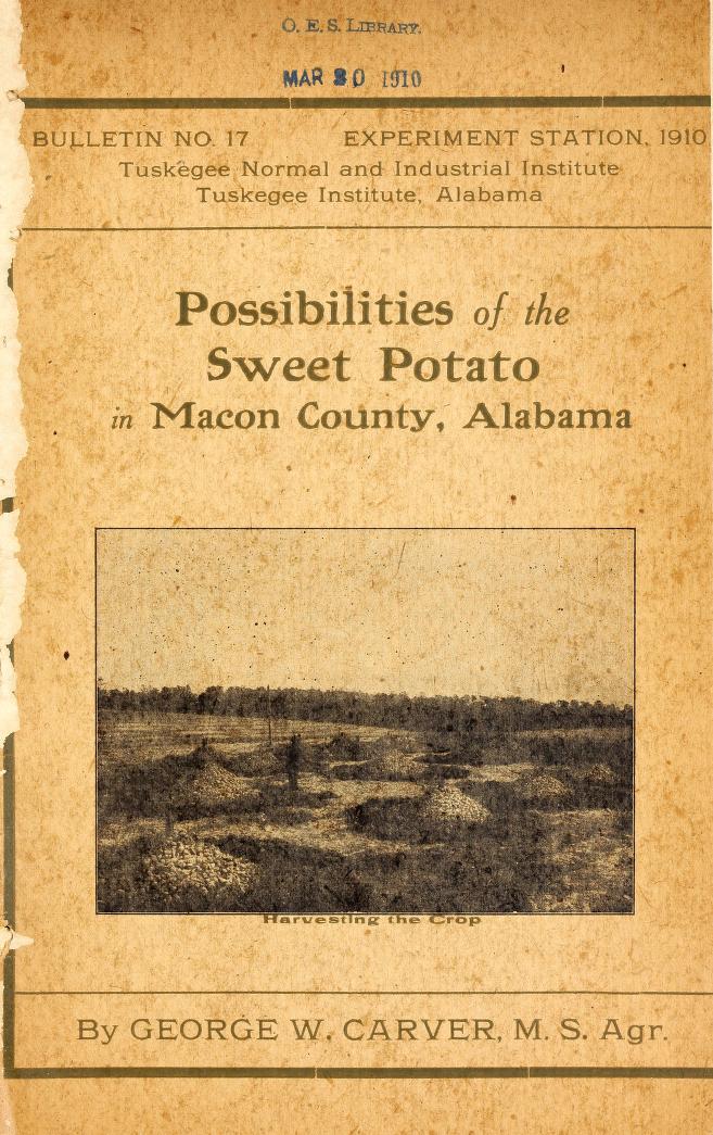 Cover of Possibilities of the Sweet Potato in Macon County, Alabama
