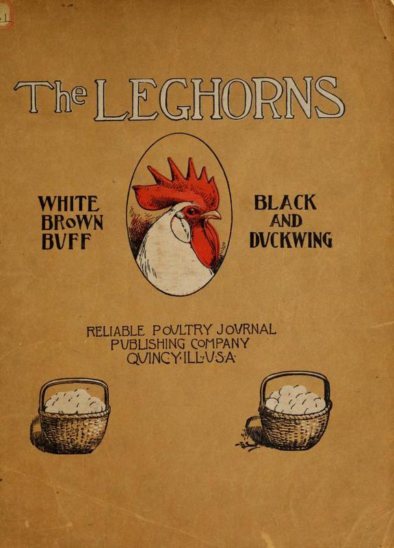 The Leghorns.jpg
