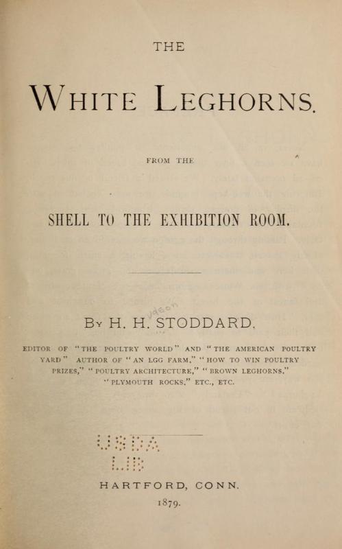 The White Leghorns.jpg
