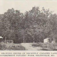 USDA Beltsville Farm.jpg