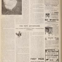 Farm Poultry A Just Judge Page 2.jpg