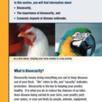 Biosecurity Guide for Poultry and Bird Owners 2.JPG