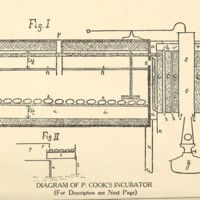 Successful Incubation Illustration.jpg