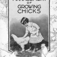 Management of Growing Chicks.jpg