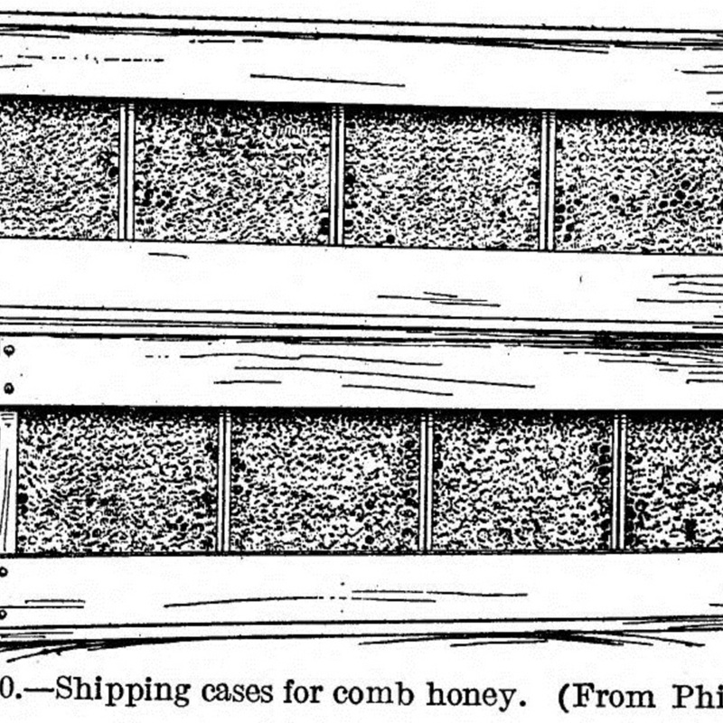 Shipping Cases for Comb Honey.jpg