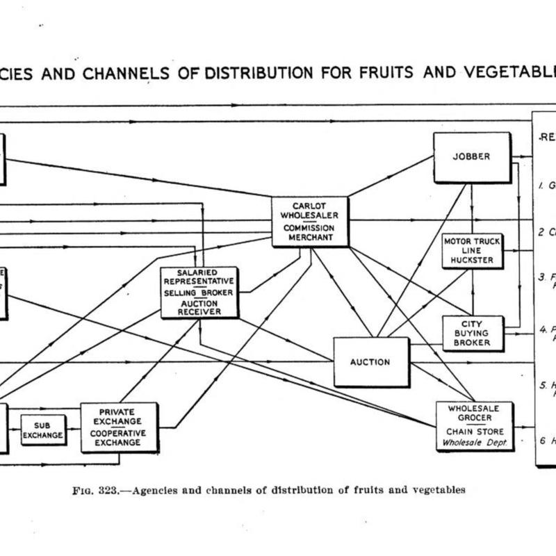Agencies and Channels of Distribution of Fruits and Vegetables.jpg