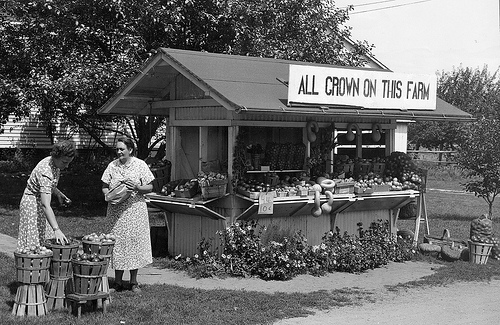A roadside market operated by a local farmwoman in Hampshire County, Massachusetts in September 1940. Photo courtesy of National Archives and Records Administration.