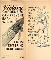 Victory Gardeners Can Prevent Ear-Worms From Entering Their Corn 1.jpg