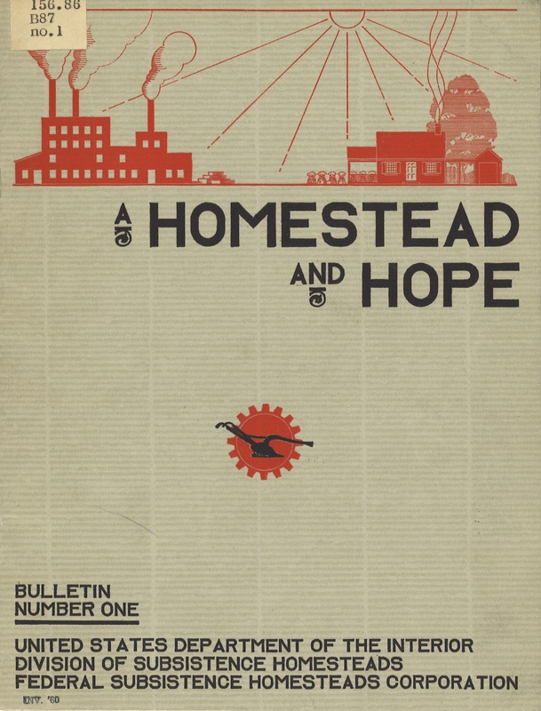 Cover of A Homestead and Hope