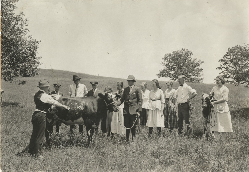 Washtenaw County Dairy Calf Club