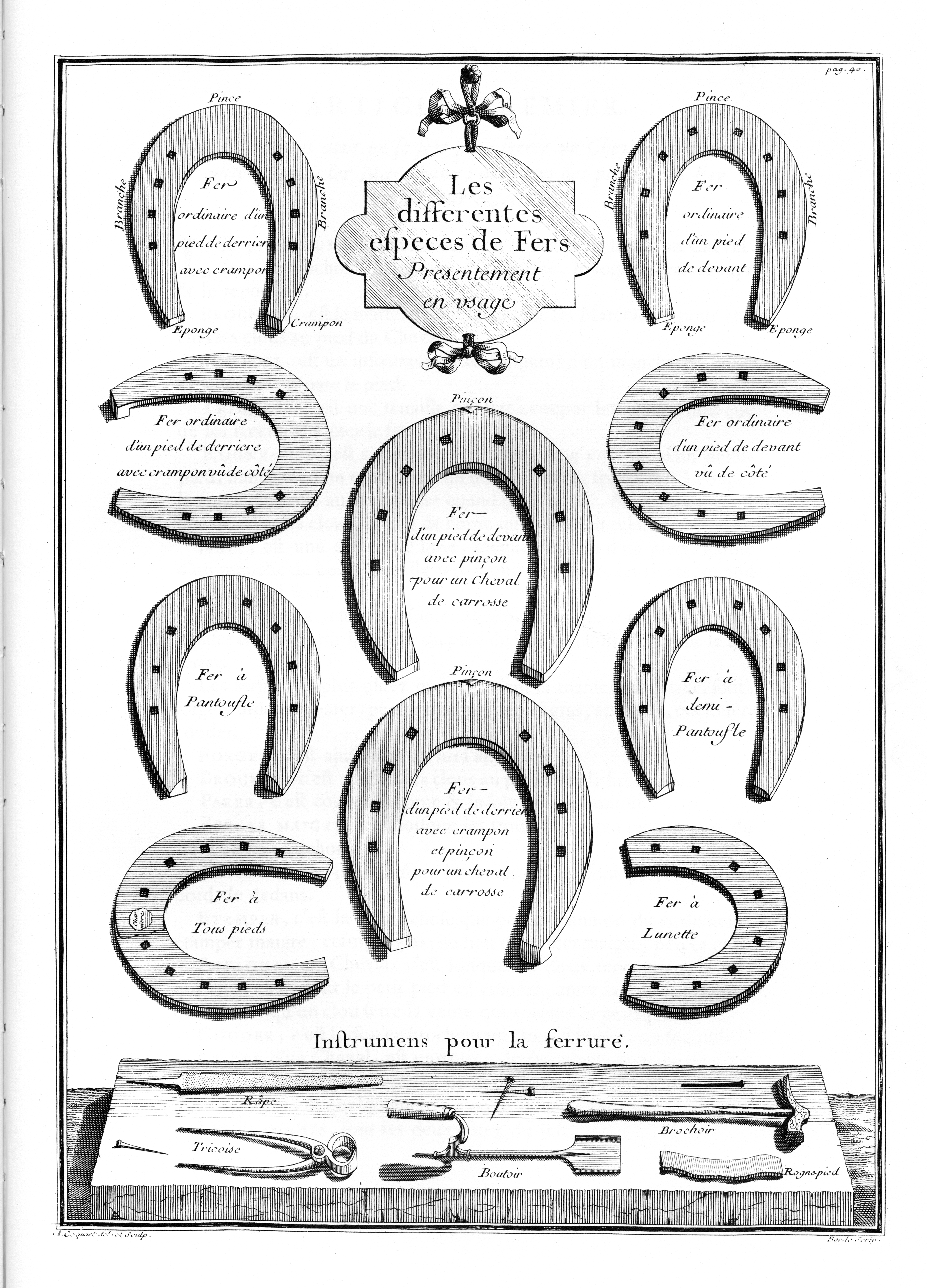 The Different Types Of Horseshoes