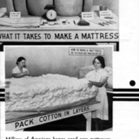 Cotton Mattress Making, p.2