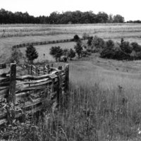 Farm fencing