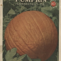 Mock-up of pumpkin seed packet