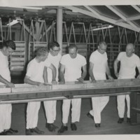 Edward F. Knipling and colleagues inspecting pupae trays at Mission, Texas plant. Knipling fourth from left.