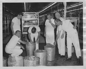 Thumbnail for the first (or only) page of Photograph of Edward F. Knipling with colleagues inspecting ground meat.