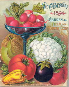Vegetable & flower seeds from J.B. Rice, Jr., Inc. [Salesman sample flower  seeds display packet catalogue… by Jerome B.[onaparte] Jr. - First Edition  - ca. 1925]. - from Zephyr Used & Rare Books (SKU: 56281)