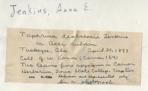 Thumbnail for the first (or only) page of Handwriting sample: Anna E. Jenkins.