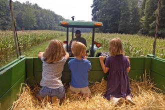 Children riding in a tractor