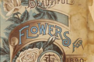 Beautiful flowers for1890 by Templin-Bradley Seed Company catalog cover