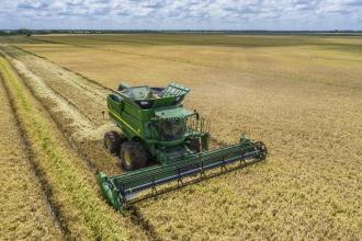 A green combine harvests a beige field