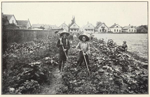 Two boys standing in a garden