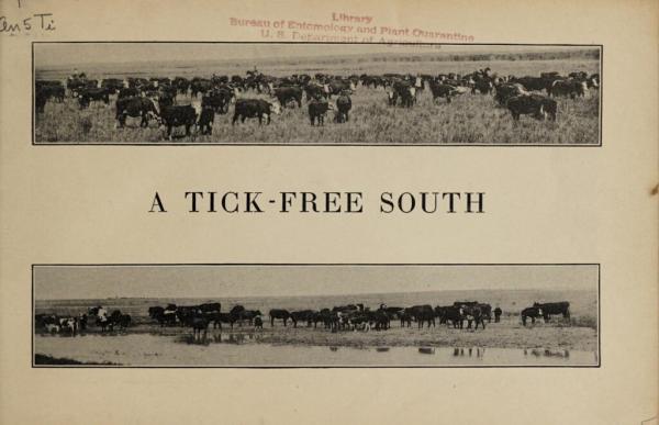 cover of A tick-free south