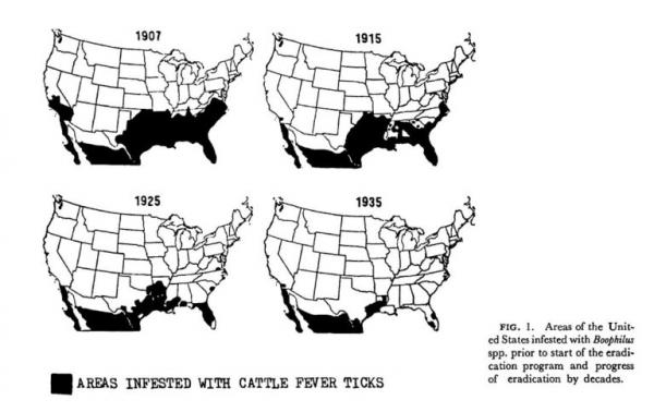 Areas of the United States infested with Boophilus spp. prior to the start of the eradition program and progress of eradication by decades