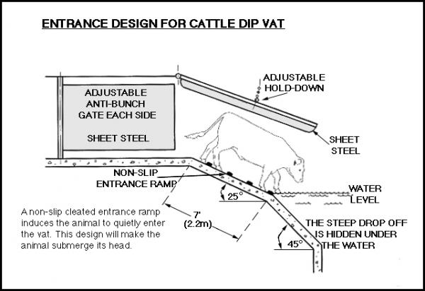 drawing of a design for a cattle dipping vat entrance