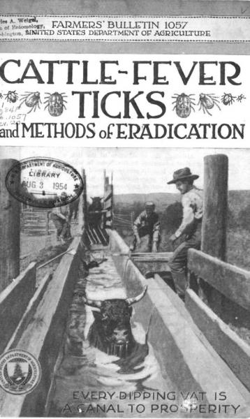 Cover of Cattle-fever ticks and methods of eradication