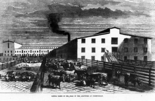 The Great Abattoirs or Slaughterhouses at Communipaw, Jersey City