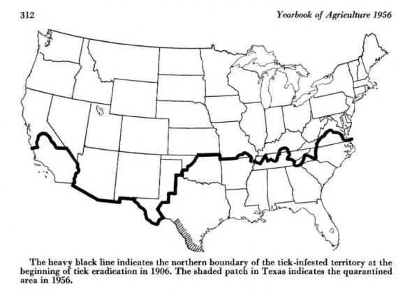 Map showing tick infestation in the United States in 1906