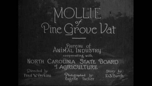 titles for Mollie of Pine Grove Vat film