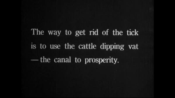 The way to get rid of the tick is to use the cattle dipping vat--the canal to prosperity