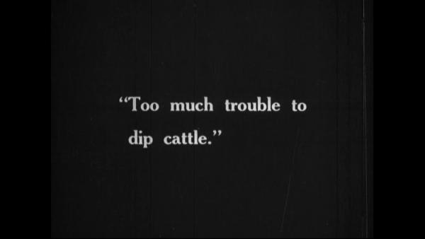 too much trouble to dip cattle