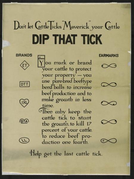 poster titled dip that tick