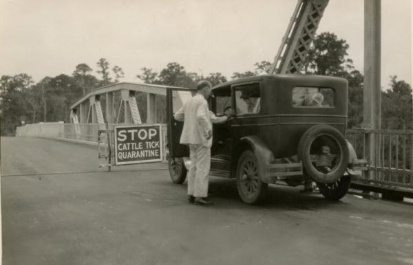 St. Mary’s River Bridge on U.S. 17 at Georgia-Florida state line: Cattle tick quarantine inspector at work