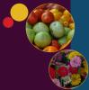 AMS CSA cover image of fruits and flowers.