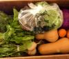 ATTRA CSA box of vegetables